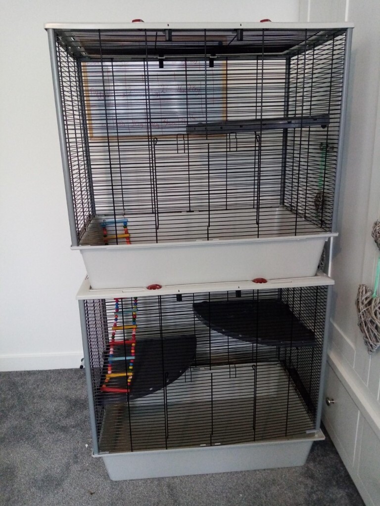 gumtree rat cage